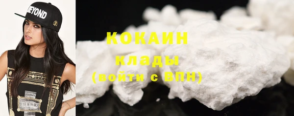 прущие грибы Нягань