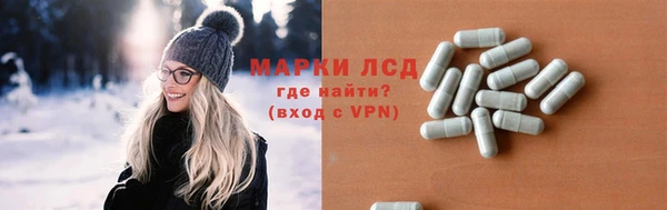 прущие грибы Нягань