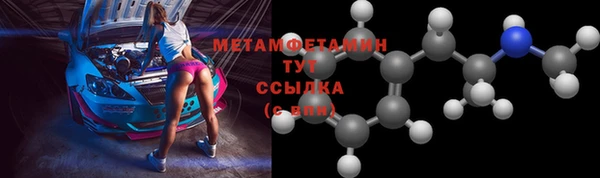прущие грибы Нягань