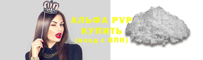 прущие грибы Нягань