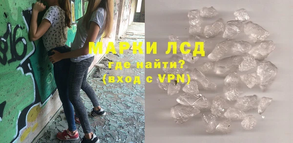 прущие грибы Нягань