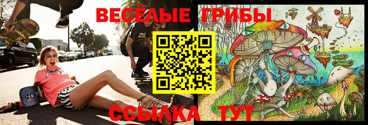 Псилоцибиновые грибы Psilocybe Якутск