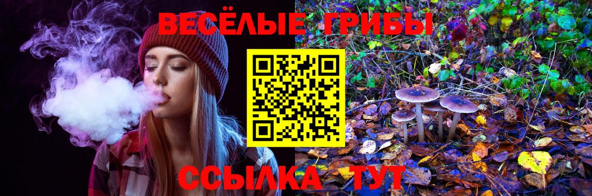 купить   Псилоцибиновые грибы GOLDEN TEACHER  Вход с VPN  Якутск  Псилоцибиновые грибы Psilocybine cubensis 